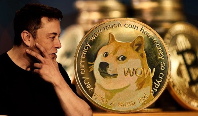 Dogecoin Yükselecek mi Yoksa Düşecek mi?